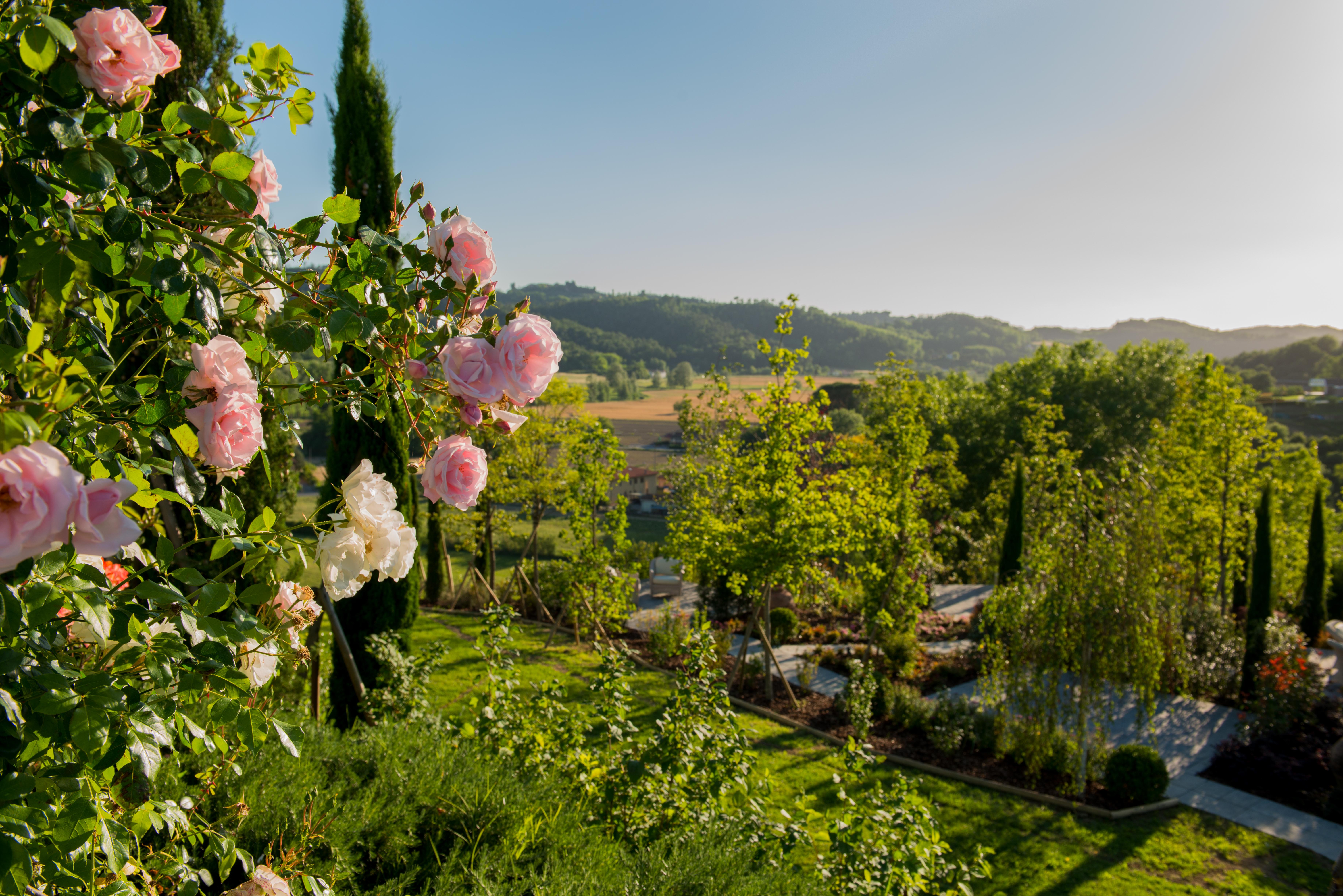 Relais Sassa Al Sole Otel San Miniato Dış mekan fotoğraf